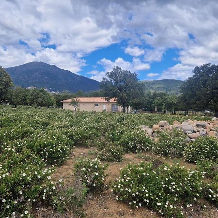 Domaine U Filanciu - Casa Chiara - Centru Di Corsica Villa Moltifao Kültér fotó