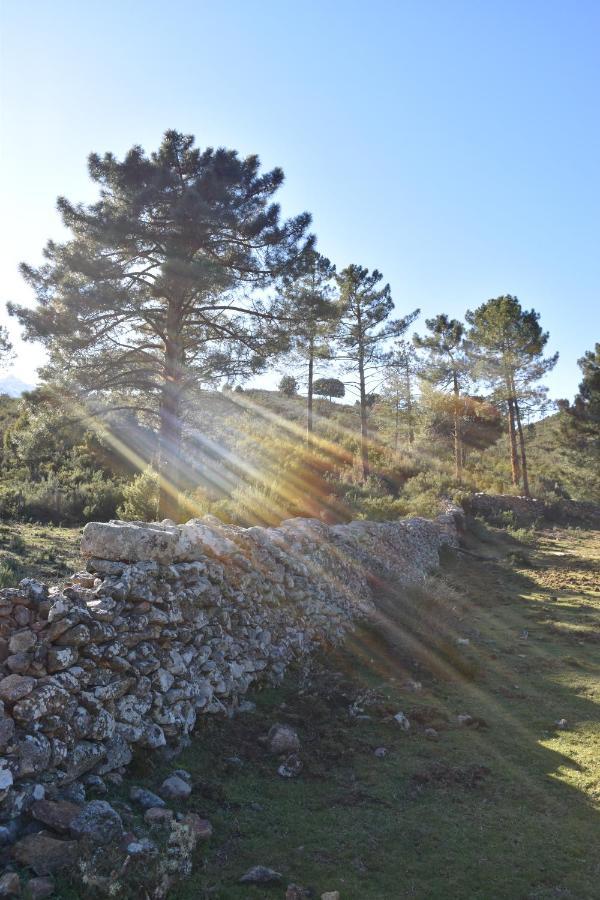 Domaine U Filanciu - Casa Chiara - Centru Di Corsica Villa Moltifao Kültér fotó